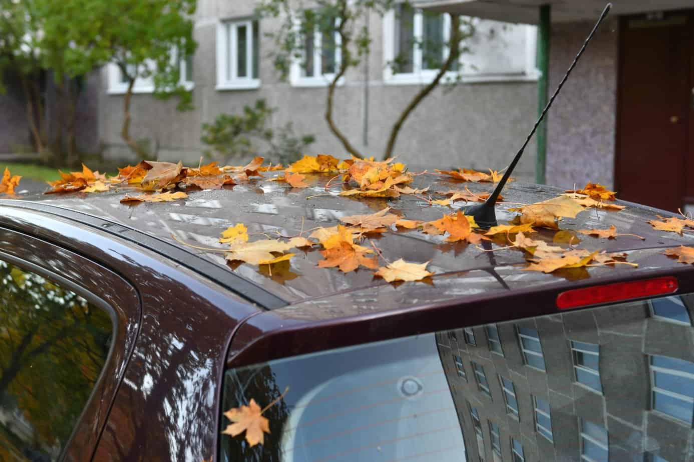 Auto-Ausstattung für Herbst und Winter: Diese Must-Haves sollten